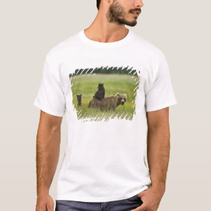 USA, Alaska, Lake Clark Nationalpark T-Shirt