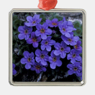 USA, Alaska National Wildlife Refuge (ANWR). Ornament Aus Metall