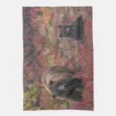 USA, Alaska, Nationalpark Denali. Grizzle Geschirrtuch (Vertikal)