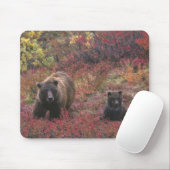 USA, Alaska, Nationalpark Denali. Grizzle Mousepad (Mit Mouse)