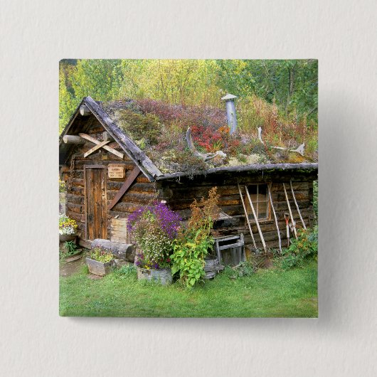 USA, Alaska, Nationalpark Denali, Kantishna. Button (Vorderseite)