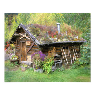 USA, Alaska, Nationalpark Denali, Kantishna. Fotodruck