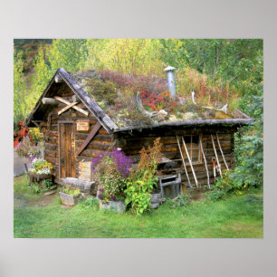 USA, Alaska, Nationalpark Denali, Kantishna. Poster