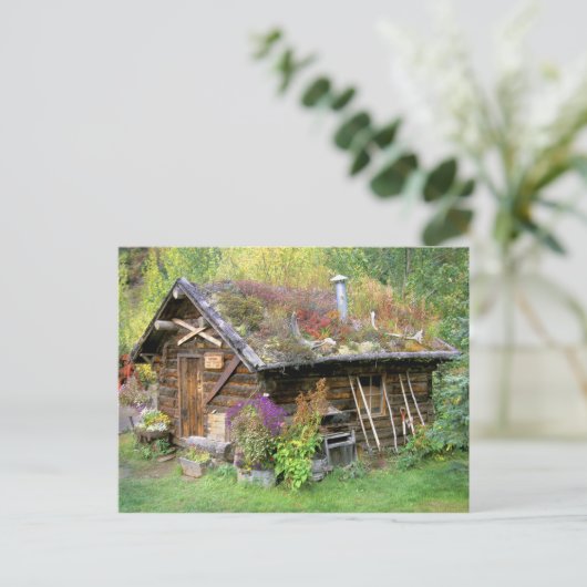 USA, Alaska, Nationalpark Denali, Kantishna. Postkarte (Stehend Vorderseite)