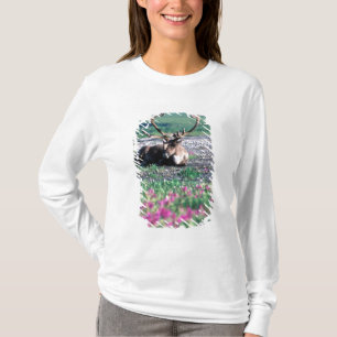 USA, Alaska, Nationalpark Denali, Karibik T-Shirt