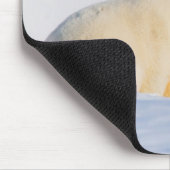 USA, Alaska, Nordhang | Polar Bears Mousepad (Ecke)