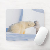 USA, Alaska, Nordhang | Polar Bears Mousepad (Mit Mouse)