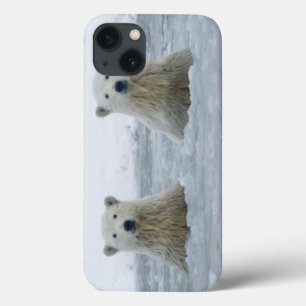 USA, Alaska, Nordsteigung, 1002 Bereich 2 iPhone 13 Hülle
