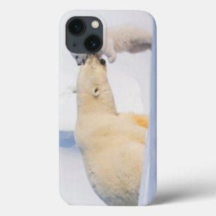 USA, Alaska, North Slope Eisbären Case-Mate iPhone Hülle