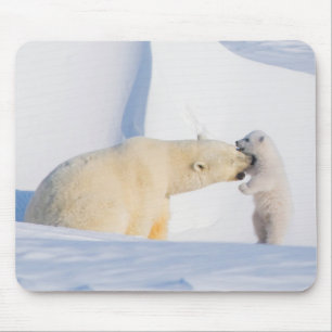 USA, Alaska, North Slope Eisbären Mousepad