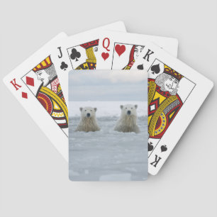 USA, Alaska, North Slope, Polar Bears Spielkarten