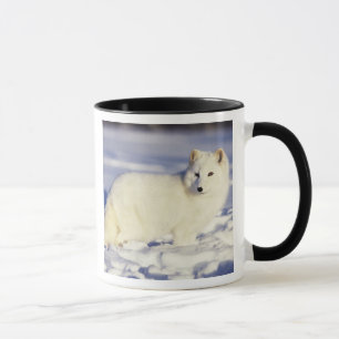 USA, Alaska. Polarfuchs im Winterfell Tasse