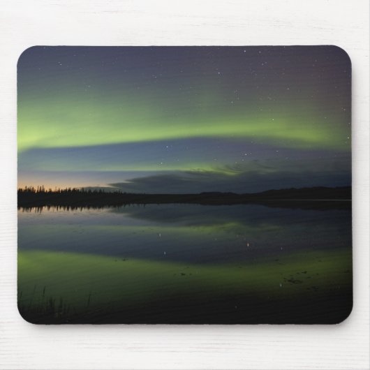 USA, Alaska, Polarkreis, Bettles.Das Mousepad (Vorne)