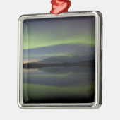 USA, Alaska, Polarkreis, Bettles.Das Silbernes Ornament (Links)