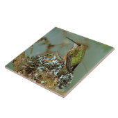 USA, Alaska. Rufous Humming-Vogel Fliese (Seite)