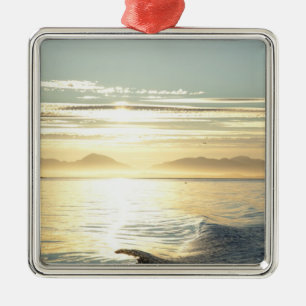 USA, Alaska, Südosten in der Nähe von Ketchikan, S Ornament Aus Metall