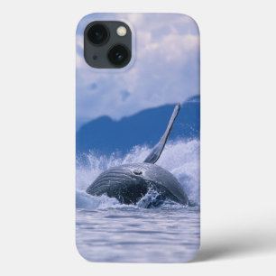 USA, Alaska, Tongass National Forest, Buckelwal Case-Mate iPhone Hülle