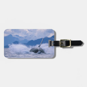 USA, Alaska, Tongass National Forest, Buckelwal Gepäckanhänger