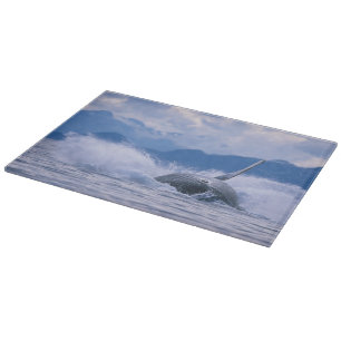USA, Alaska, Tongass National Forest, Buckelwal Schneidebrett