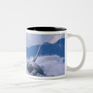 USA, Alaska, Tongass National Forest, Buckelwal Zweifarbige Tasse