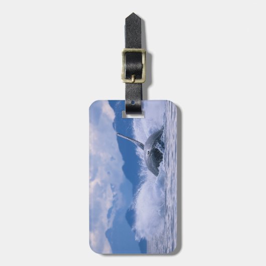 USA, Alaska, Tongass National Forest, Humpback Gepäckanhänger (Vorderseite vertikal)