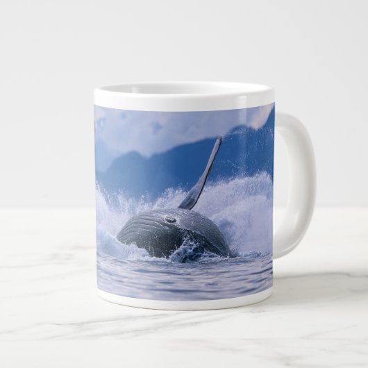 USA, Alaska, Tongass National Forest, Humpback Jumbo-Tasse (Vorderseite Rechts)