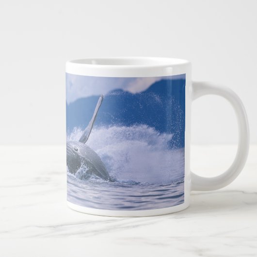 USA, Alaska, Tongass National Forest, Humpback Jumbo-Tasse (Rechts)