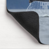 USA, Alaska, Tongass National Forest, Humpback Mousepad (Ecke)