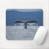 USA, Alaska, Tongass National Forest, Humpback Mousepad (Mit Mouse)
