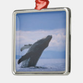 USA, Alaska, Tongass National Forest, Humpback Ornament Aus Metall (Links)
