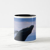 USA, Alaska, Tongass National Forest, Humpback Zweifarbige Tasse (Mittel)