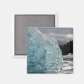 USA, Alaska, Tongass National Forest, Tracy 2 Magnet (Vorderseite/Rückseite)