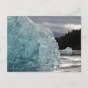 USA, Alaska, Tongass National Forest, Tracy 2 Postkarte