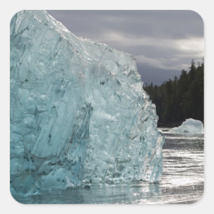 USA, Alaska, Tongass National Forest, Tracy 2 Quadratischer Aufkleber