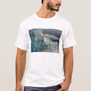 USA, Alaska, Tongass National Forest, Tracy 3 T-Shirt
