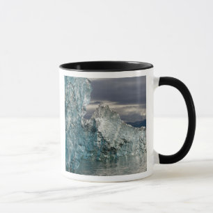 USA, Alaska, Tongass National Forest, Tracy 3 Tasse