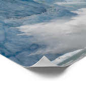 USA, Alaska, Tongass National Forest, Tracy Poster (Ecke)