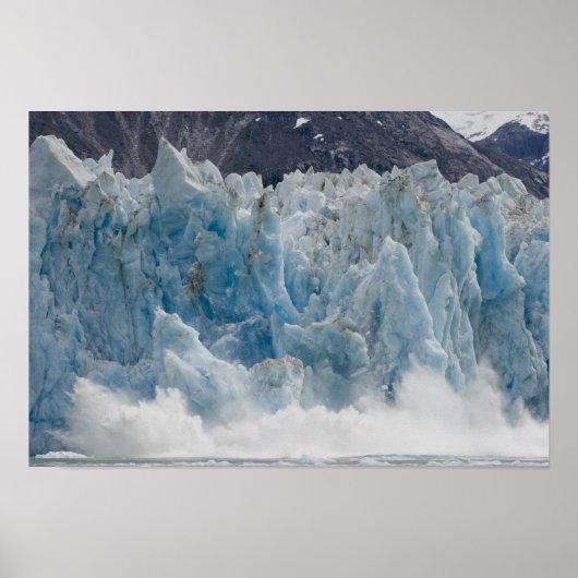 USA, Alaska, Tongass National Forest, Tracy Poster (Vorne)