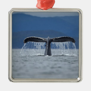 USA, Alaska, Tongass staatlicher Wald, Buckel Ornament Aus Metall