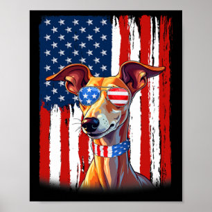 USA America Flag Italienischer Windhund Hund 4. Ju Poster
