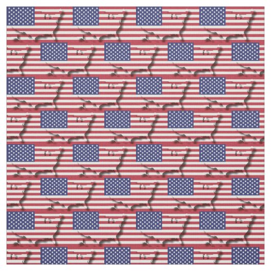 USA AMERICA Flag Map Kontur Stoff (Muster)