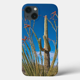 USA, Arizona. Cactus In Saguaro National Park Case-Mate iPhone Hülle
