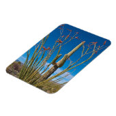 USA, Arizona. Cactus In Saguaro National Park Magnet (Linke Seite)