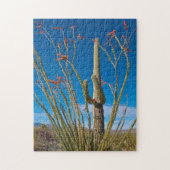 USA, Arizona. Cactus in Saguaro Puzzle (Vertikal)