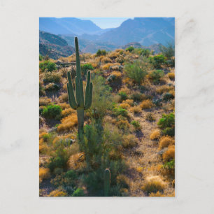 USA, Arizona. Desert View Postkarte