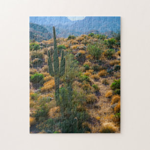USA, Arizona. Desert View Puzzle
