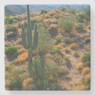 USA, Arizona. Desert View Steinuntersetzer