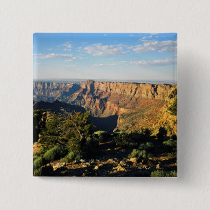 USA, Arizona, Grand Canyon National Park, Ansicht Button