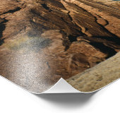 USA, Arizona, Grand Canyon National Park, Fotodruck (Ecke)