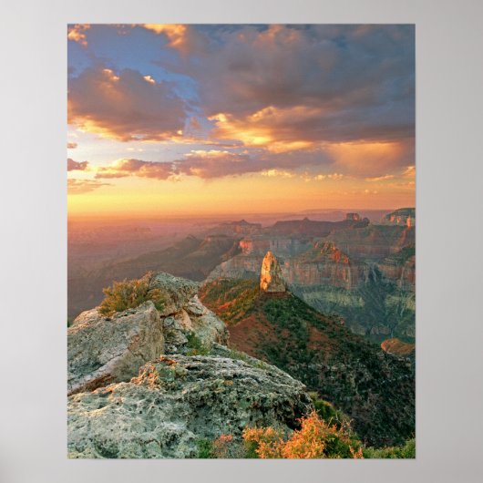 USA, Arizona, Grand Canyon National Park. Punkt Poster (Vorne)